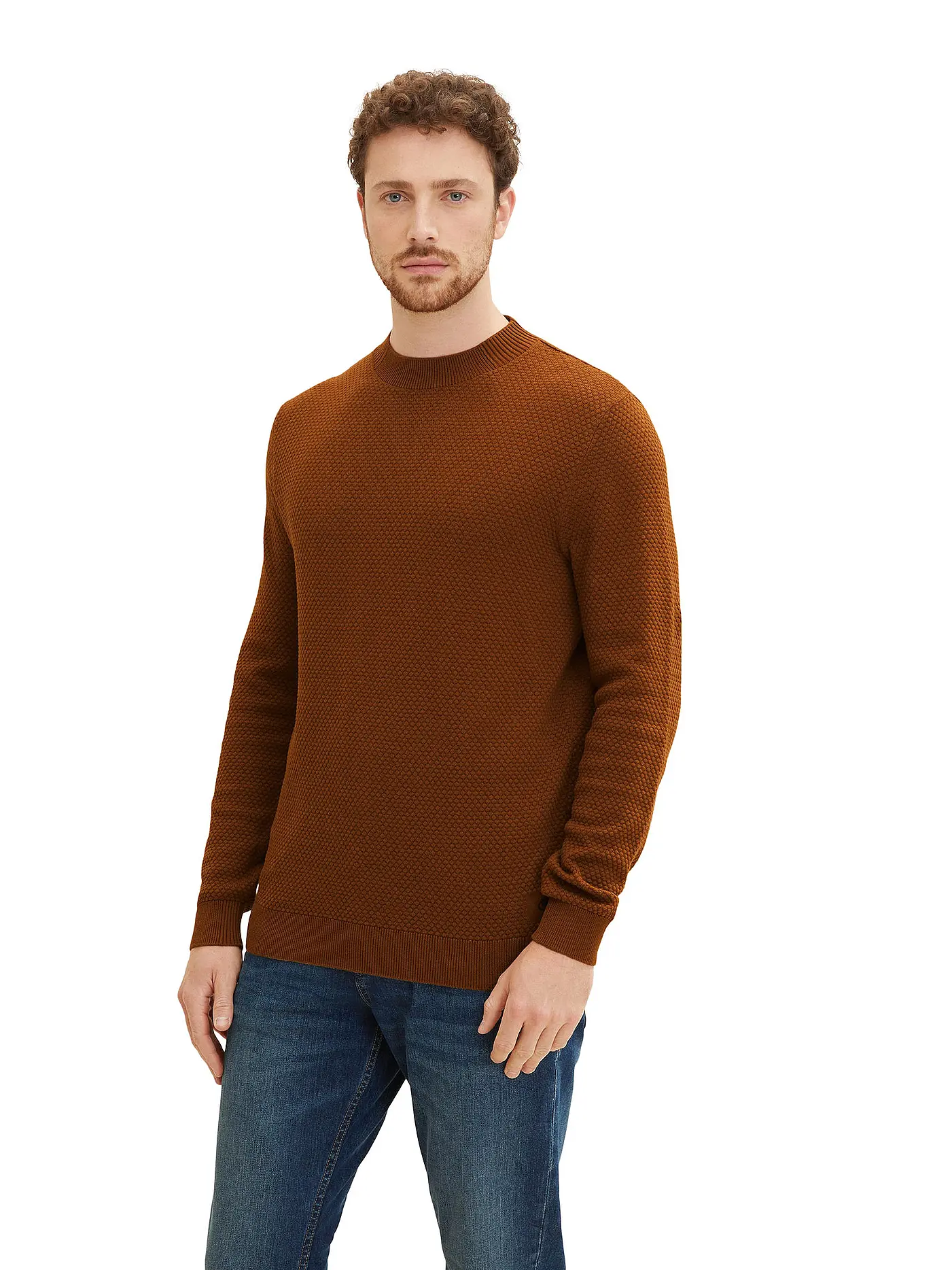 TOM TAILOR | Stehkragenpullover | 